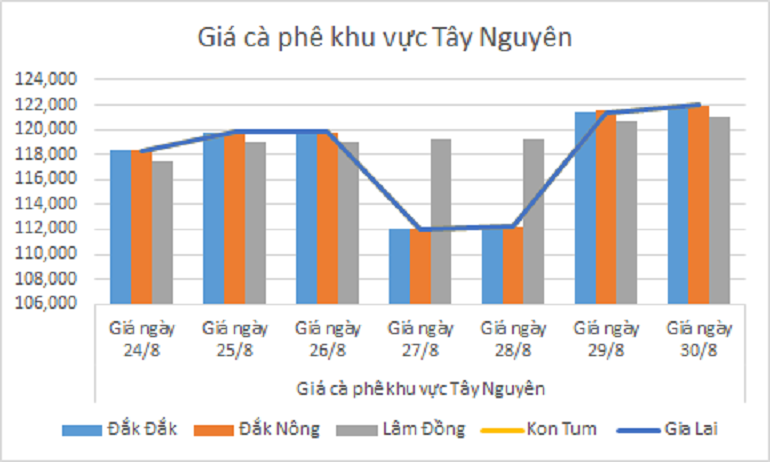 Bieu do gia ca phe ngay 30.8.2024_1724989141.png